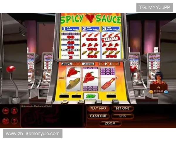 如何选择适合自己的角子机游戏机提升游戏体验